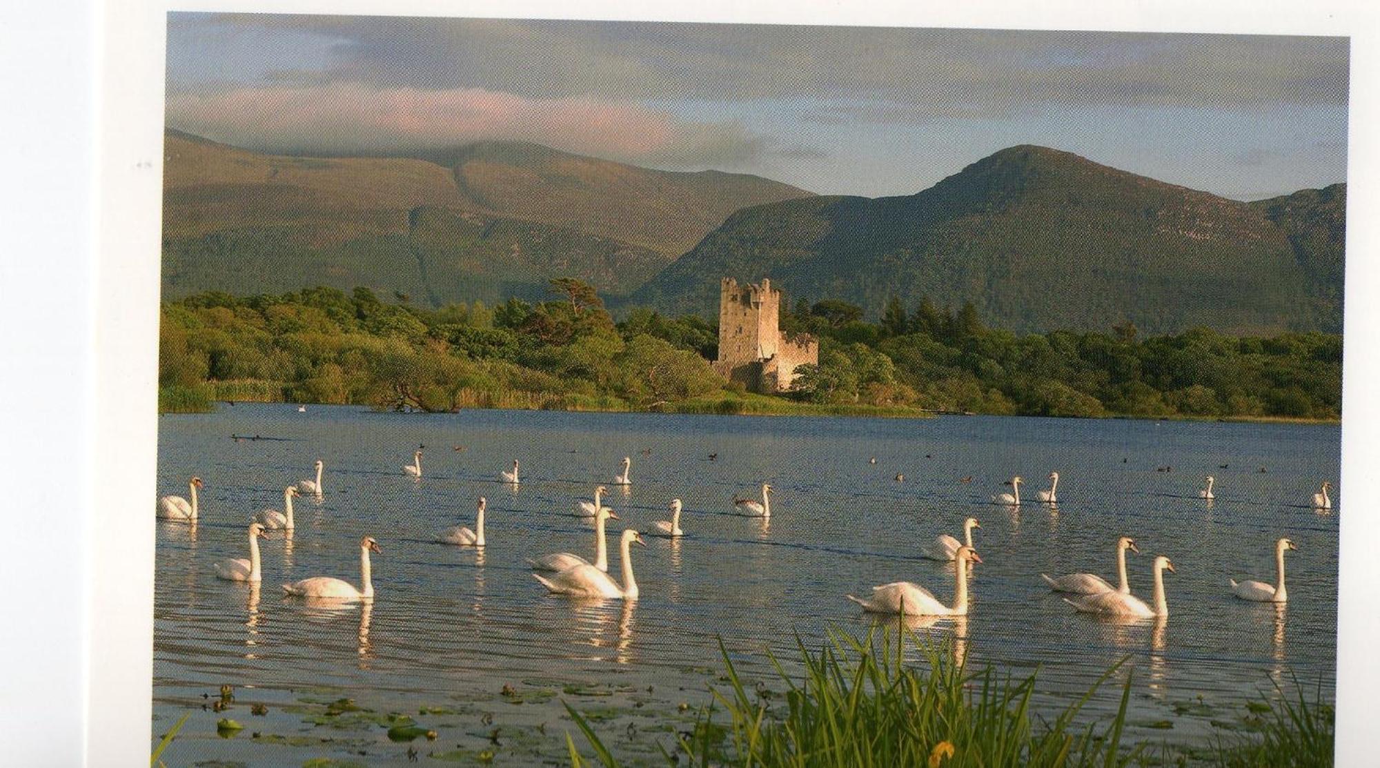 Harbour View Kenmare Exterior foto